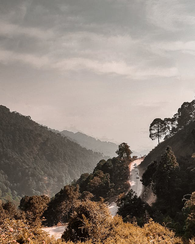 Kasauli